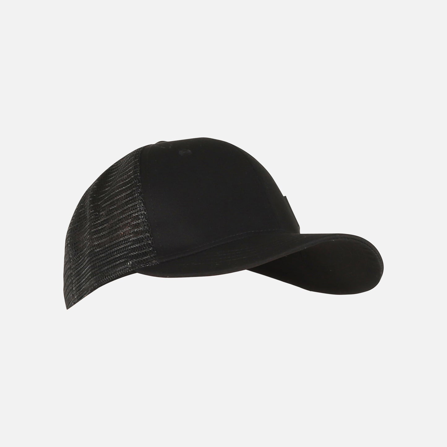 Bungee Snap back